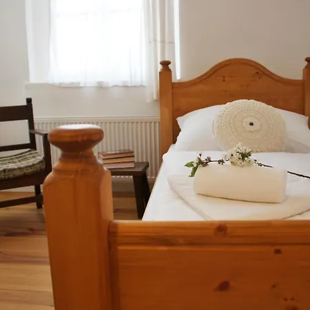 Domestika 아파트 체스키크룸로프