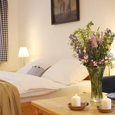 Domestika * 체스키크룸로프