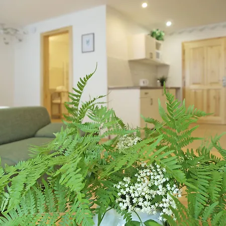 Domestika 公寓 Český Krumlov